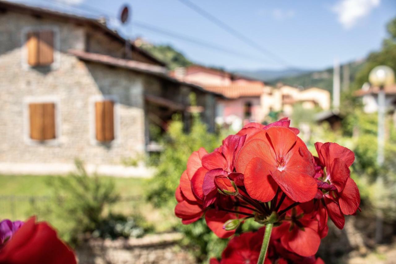 B&B La Casa D'Artista Ortignano Raggiolo Экстерьер фото